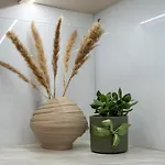 Cozy Urban Apartments